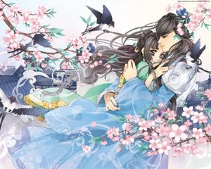 芒果tv涩涩